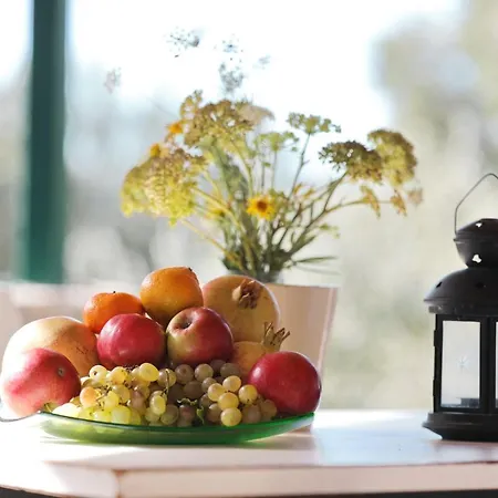 House Magdalena Tkon