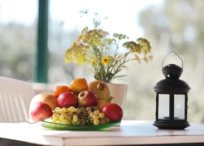 House Magdalena 트콘